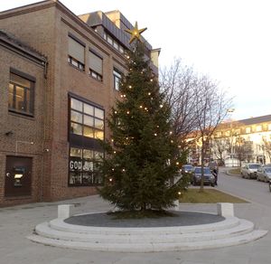 Falkehjørnet juletre 2011.jpg