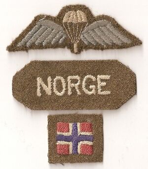 Fallskjermtroppens insignier.jpg