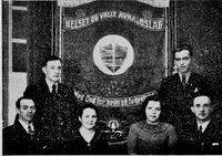 68. Fane Helset og Valle Avhaldslag.jpg