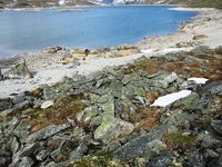 Ved Fremre Veltdalsvatnet i Skjåk