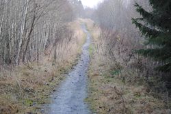 Farseggen, del av Oldtidsveien gjennom Skedsmo.