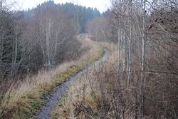 Farseggen før utbedringen i 2013, sommer. Foto Nils Sundstu 2011.