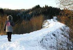 Veien over Farseggen knyttet sammen Leirsund og Skedsmovollen.