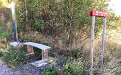 Pilgrimsmerking på Farseggen.