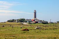 Lista fyr. Foto: Leif-Harald Ruud (2020).