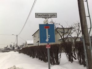 Fauchalds gate skilt.jpg