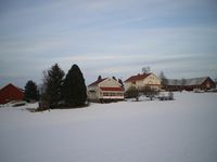 Faut-Narum. Foto: Torill Næss (2016).