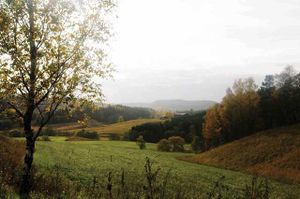 Feiring i Loerenskog innmark LL46.jpg