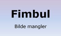 Fimbul bilde.JPG