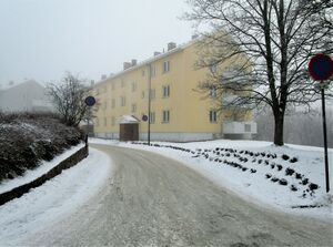 Finns vei Oslo 2014.jpg