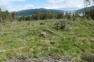 Finsrud 2022 (kk-2022-06-08 - P1010851).JPG