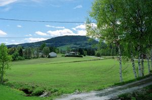 Finstad 2001 (NK-74 2001 app 391 Image11).jpg