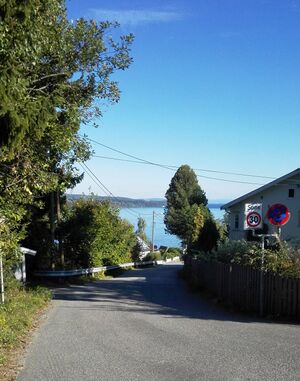 Fischers veg Gjøvik.jpg