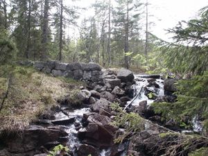 Fisketjennsdammen (be-2004-05-14-PICT0017).JPG