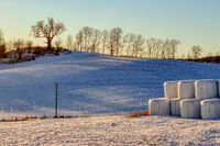 Til venstre på bakkekammen i bakgrunnen ser vi Asbjørnseneika. Foto: Leif-Harald Ruud (2021)