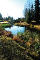 Fjellhamarbrua i bakgrunnen og Gundersenvika i forkant. Foto: André Clemetsen