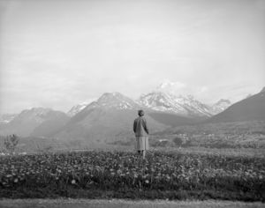 Fjellidyll - no-nb digifoto 20141209 00109 NB MIT FNR 19458.jpg