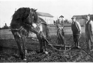 Flårud på Fiskum (oeb-181744).jpg