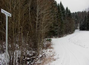 Fløyrudvegen Feiring 2014.jpg