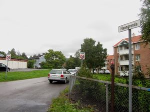 Flaengrenda Oslo 2013.jpg
