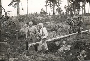 Flaggstang i Bergstua.jpg