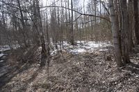 124. Flatsranda (N2030).JPG