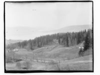 Garder i en skog. Men hvor? Foto: Marthinius Skøien (omkr. 1880-1910).