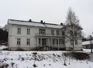 Flesviklia 1 Feiring 2014.jpg