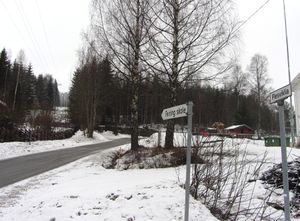 Flesviklia Feiring 2014.jpg