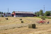 Fløysbonn gård med næringsbygg i bakgrunnen. Foto: Leif-Harald Ruud