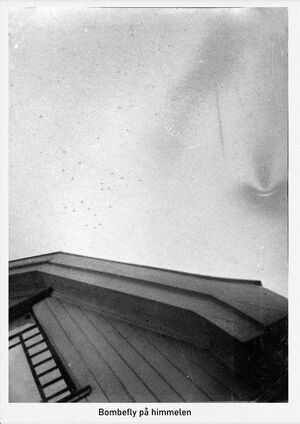 Fly på himmelen.jpg