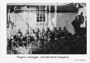 Flygere i solveggen.jpg