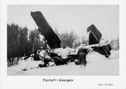 Flystyrt i Hansjøen.