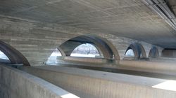 Undersiden. Foto: Pål Giørtz (2021).