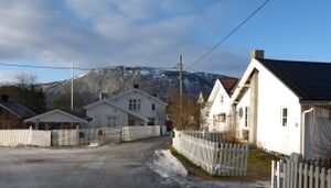 Folkestadbyen i Fyresdal. Øvre del .jpg