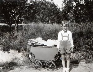 Foran eplehagen i N.Høeghs vei.jpg