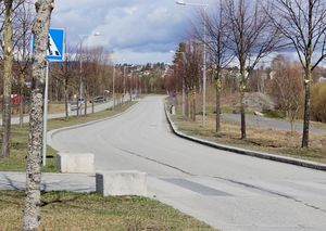 Forneburingen Bærum 2016.jpg