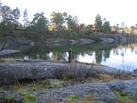 54. Fortoyningsbolt.jpg