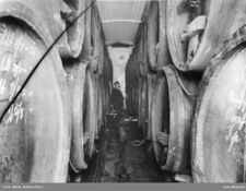 Tønnekjeller. Foto: Anders Beer Wilse/Oslo Museum (ca 1910).