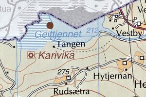 Foseidtangen (Karivika) gnr. 79.3 Kongsvinger.jpg