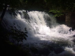 Foss ved Seilduksdammen.jpg