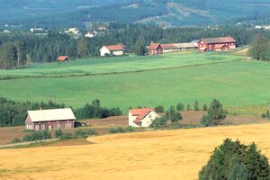 Fossmoen søndre Brandval vestside 1962.jpg