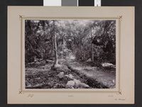 27. Fra Hankø - no-nb digifoto 20160314 00107 bldsa fFA00307.jpg