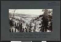 69. Fra Hattfjelddalen Statskoger - no-nb digifoto 20160317 00163 bldsa NGU0402.jpg