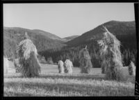 249. Fra Hovin, Telemark - no-nb digifoto 20151012 00140 NB MIT FNR 05268.jpg