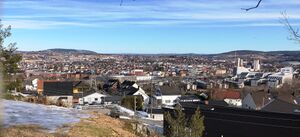 Fra Petrinehøy mot Kjeller.JPG