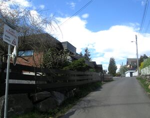 Framveien Oslo 2013.jpg