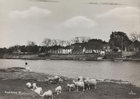 Gamlebyen sett fra Isegran 1920-40.