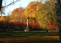 Commonwealth War Graves Commissions område
