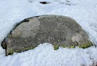 Minnestein i fjelltraktene ved Nansens eiendom Sørkje i Rollag. Foto: Anne Wårviken Bjørkgarden